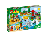 LEGO DUPLO Zvířata světa 10907