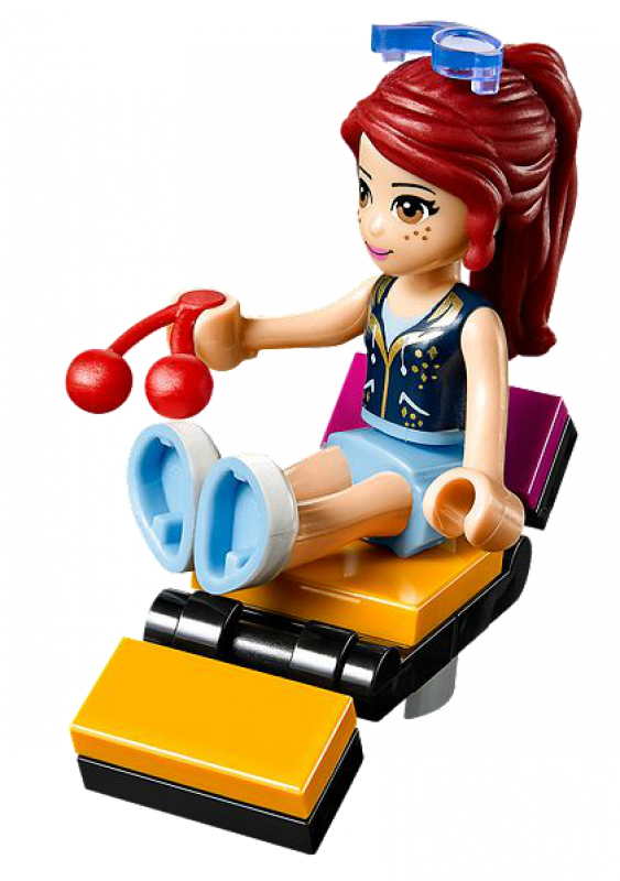 LEGO Friends Autobus pro turné popových hvězd 41106