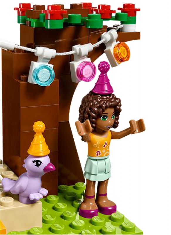 LEGO Friends Narozeninová oslava 41110