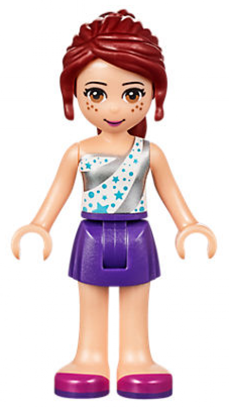 LEGO Friends Soutěž štěňátek 41300