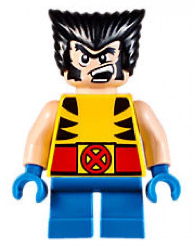 LEGO Super Heroes Mighty Micros: Wolverine vs. Magneto 76073