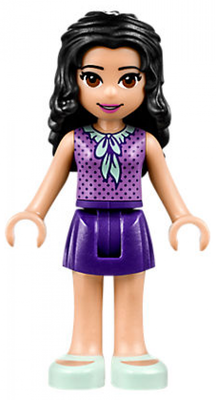 LEGO Friends Dům přátelství 41340