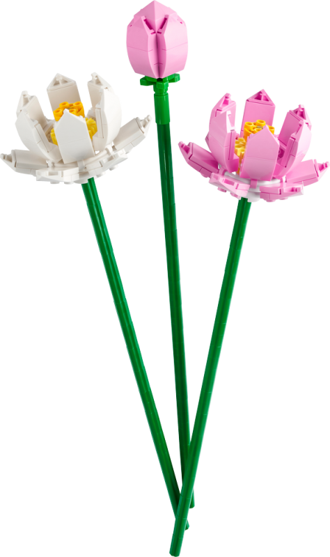 LEGO® Botanicals 40647 Lotosové květy