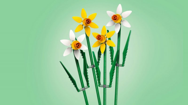 LEGO® Botanicals 40747 Narcisy