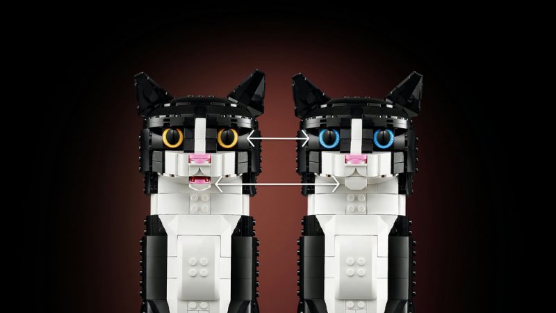 LEGO® Ideas 21349 Černobílá kočka
