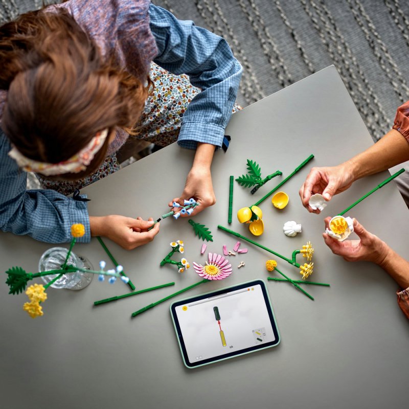 LEGO® Botanicals 10347 Drobná slunečná kytice