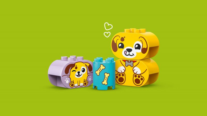 LEGO® DUPLO® 10441 Třídění tvarů: Domeček pro štěňátka