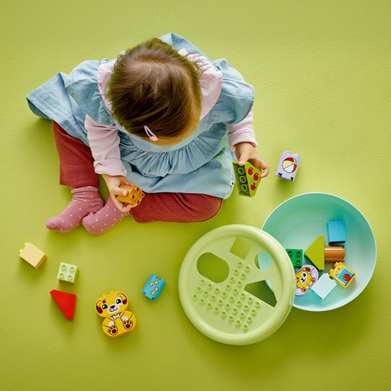 LEGO® DUPLO® 10441 Třídění tvarů: Domeček pro štěňátka