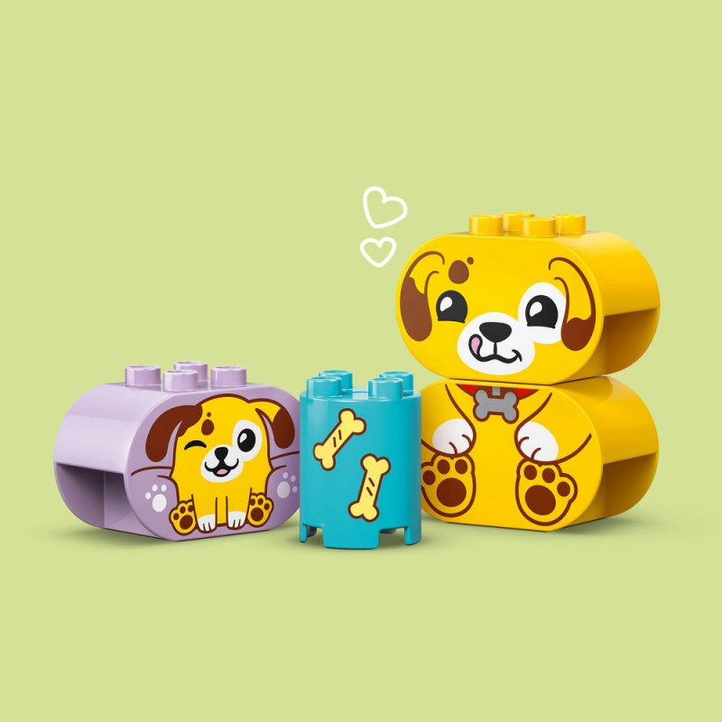 LEGO® DUPLO® 10441 Třídění tvarů: Domeček pro štěňátka