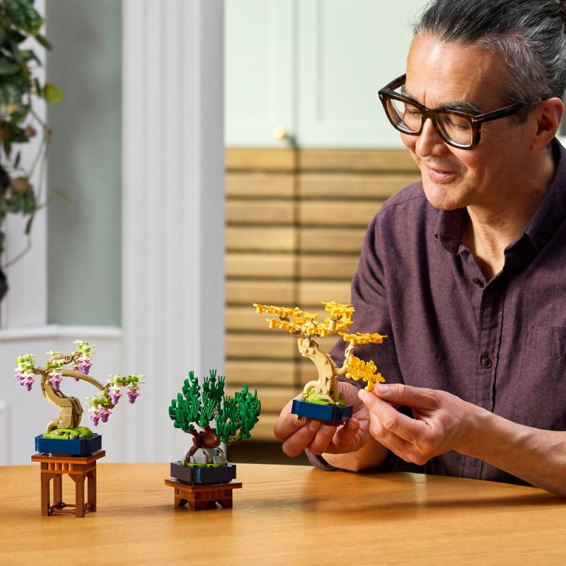 LEGO® Botanicals 10373 Miniaturní bonsaje