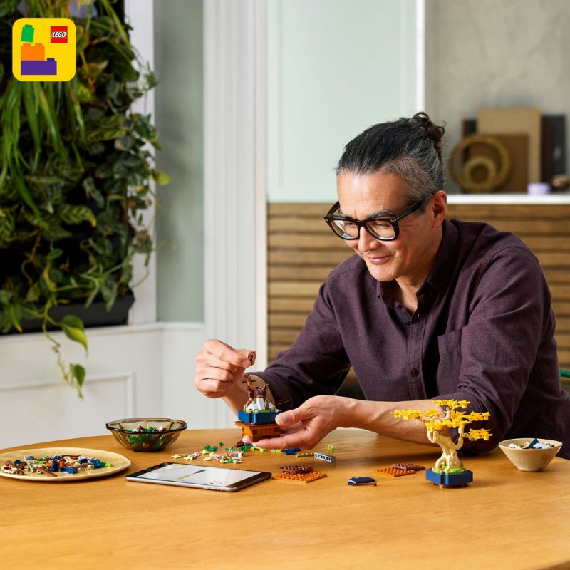 LEGO® Botanicals 10373 Miniaturní bonsaje