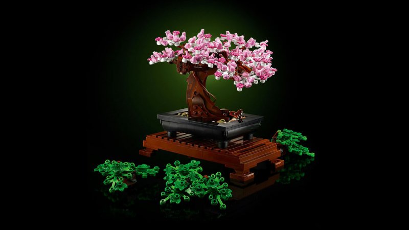 LEGO® Botanicals 10281 Bonsaj