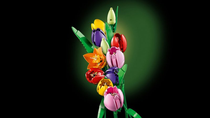 LEGO® Botanicals 11501 Kytice tulipánů