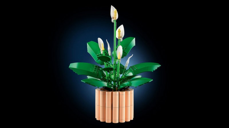 LEGO® Botanicals 11504 Lopatkovec