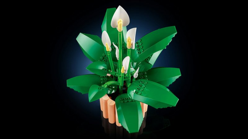 LEGO® Botanicals 11504 Lopatkovec