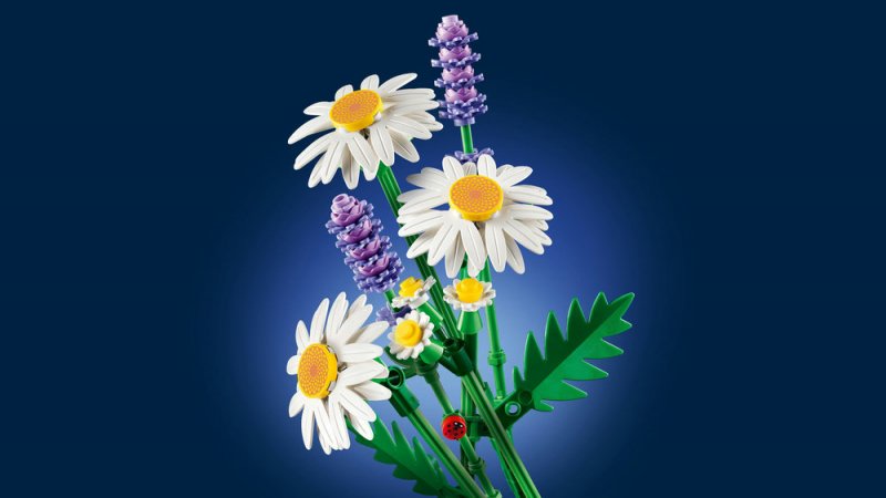 LEGO® Botanicals 11508 Kopretiny