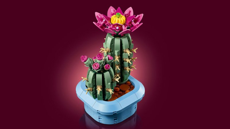 LEGO® Botanicals 11509 Kvetoucí kaktus