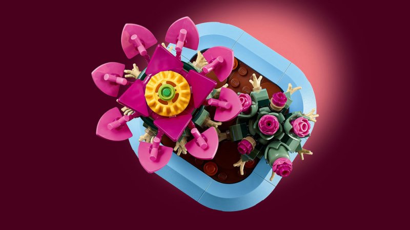 LEGO® Botanicals 11509 Kvetoucí kaktus