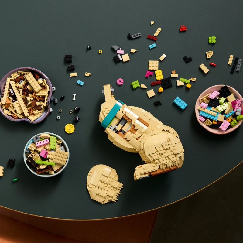 LEGO® Icons 11384 Štěně zlatého retrívra