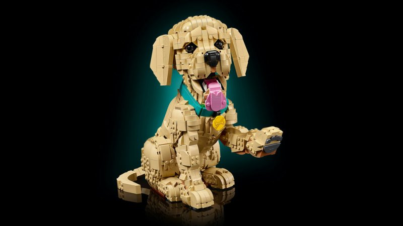 LEGO® Icons 11384 Štěně zlatého retrívra
