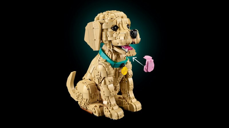 LEGO® Icons 11384 Štěně zlatého retrívra