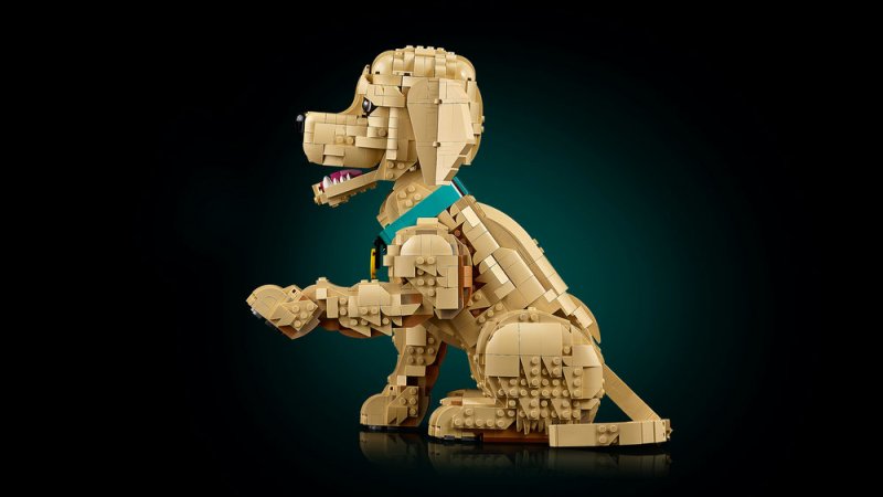 LEGO® Icons 11384 Štěně zlatého retrívra