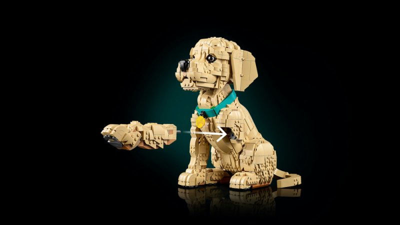 LEGO® Icons 11384 Štěně zlatého retrívra