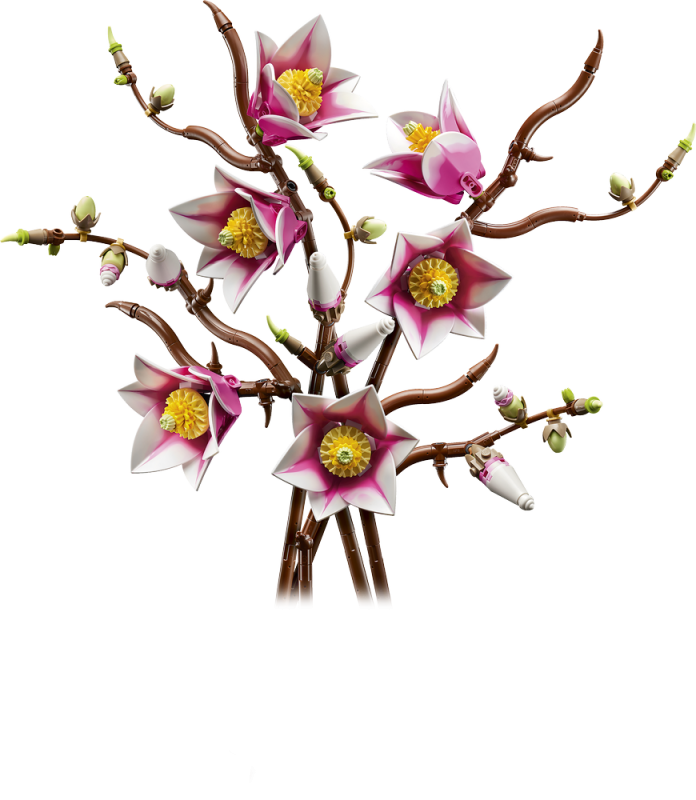 LEGO® Botanicals 11510 Větvičky magnólie
