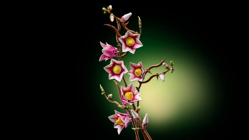 LEGO® Botanicals 11510 Větvičky magnólie