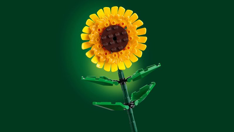 LEGO® Botanicals 40524 Slunečnice