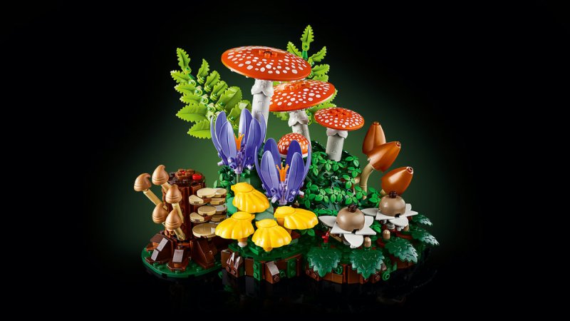 LEGO® Botanicals 11505 Lesní houby