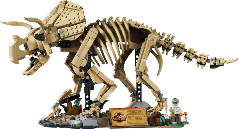 LEGO® Jurassic World™ 77985 Dinosauří fosilie: Triceratops