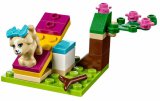 LEGO Friends Výcvik štěněte 41088