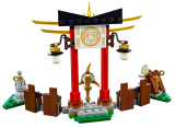 LEGO Ninjago Drak Mistra Wu 70734