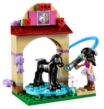 LEGO Friends Mytí hříbátka 41123