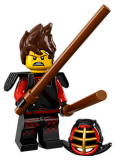 LEGO Minifigurky: THE LEGO® NINJAGO MOVIE 71019