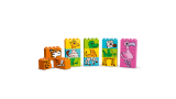 LEGO DUPLO Můj první hlavolam 10885