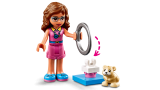 LEGO Friends Hřiště pro Oliviiny křečky 41383