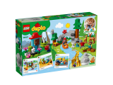 LEGO DUPLO Zvířata světa 10907