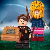 LEGO Minifigurky Harry Potter™ - 2. série 71028