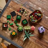 LEGO® Botanicals 10309 Sukulenty