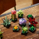 LEGO® Botanicals 10309 Sukulenty