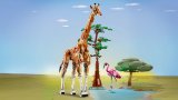 LEGO® Creator 31150 Divoká zvířata ze safari