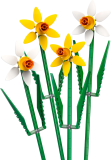 LEGO® Botanicals 40747 Narcisy