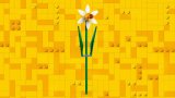 LEGO® Botanicals 40747 Narcisy