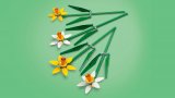 LEGO® Botanicals 40747 Narcisy