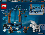 LEGO® Harry Potter™ 76432 Zapovězený les: Kouzelná stvoření