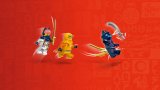 LEGO® NINJAGO® 71810 Dračí mládě Riyu