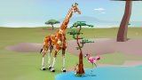 LEGO® Creator 31150 Divoká zvířata ze safari