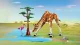 LEGO® Creator 31150 Divoká zvířata ze safari